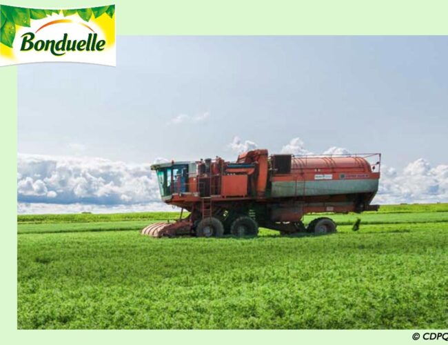 Bonduelle entre en négociations exclusives en vue de la cession de 65% de Bonduelle Americas Long Life (BALL)