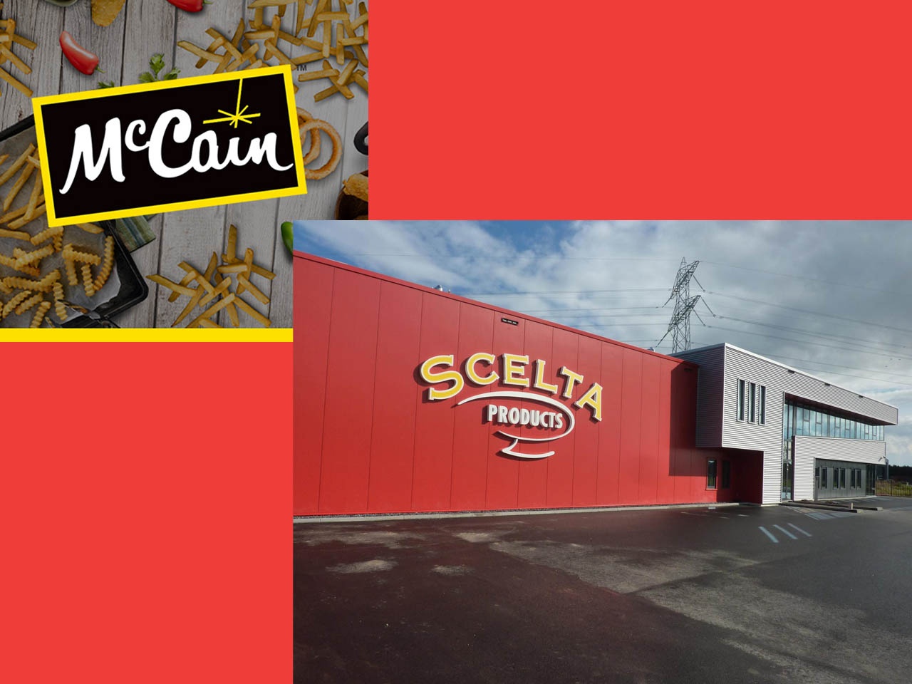 Acquisition de l’entreprise néerlandaise Scelta Products par McCain Foods
