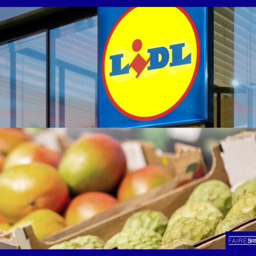 Lidl déploie sa nouvelle Charte pour une alimentation saine et responsable