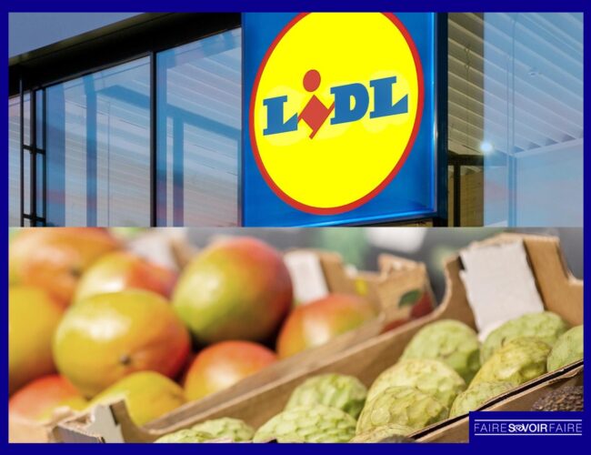 Lidl déploie sa nouvelle Charte pour une alimentation saine et responsable