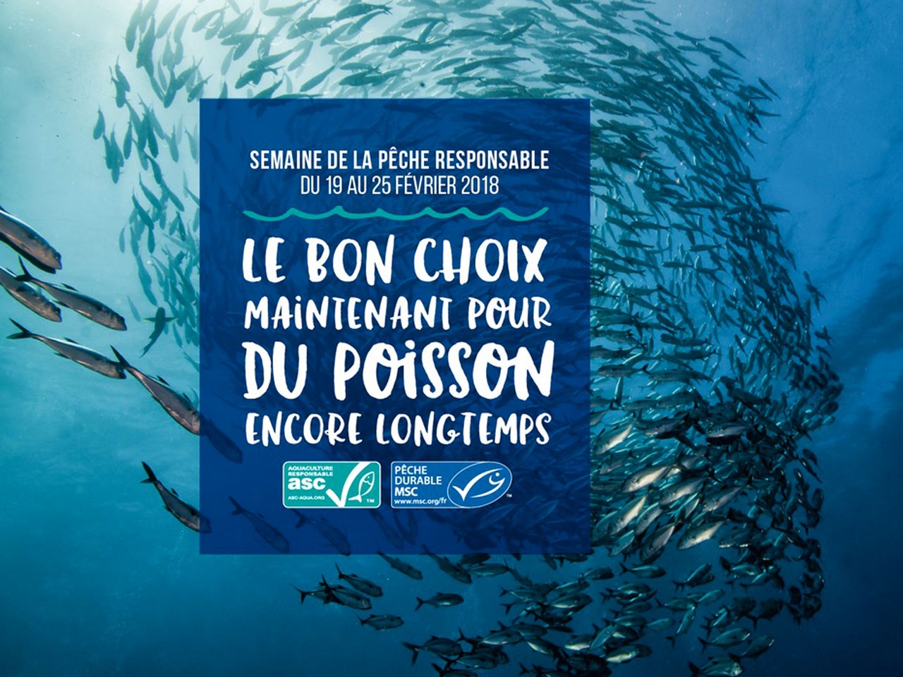 ESCAL, partenaire de la Semaine de la Pêche Responsable 2018