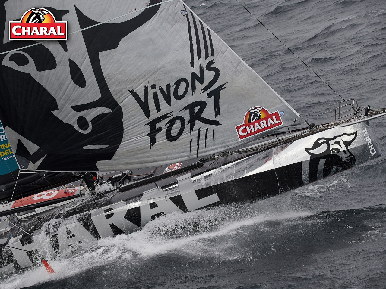 Charal et le skipper Jérémie Beyou célèbrent la route du Rhum !