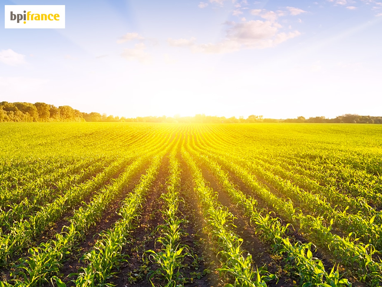 Le Ministère de l’Agriculture et de l’Alimentation et Bpifrance s’allient pour accélérer la croissance et la compétitivité des PME de l’agroalimentaire