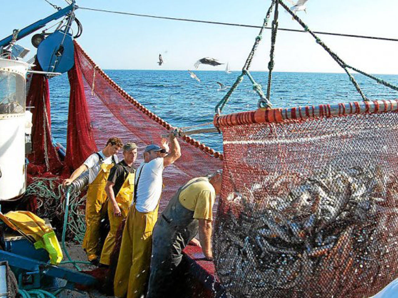 La pêche à  la sardine de Saint Gilles-Croix-de-Vie, en Vendée, inscrite à  l’inventaire du Patrimoine Culturel Immatériel de la France
