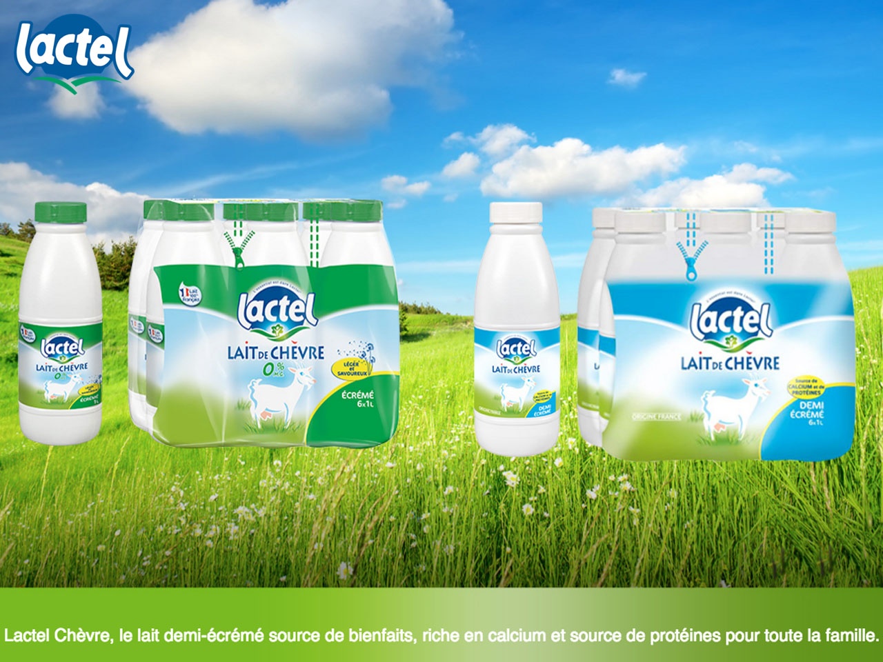 Avec Lactel, la brebis s’installe au rayon lait