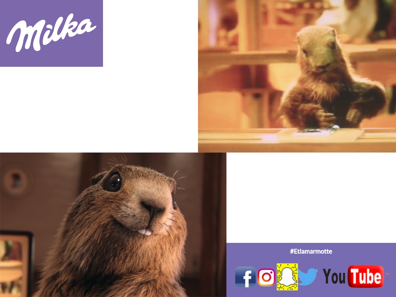 Génération Marmotte avec Milka, qui lance Patamilka, la nouvelle pâte à  tartiner