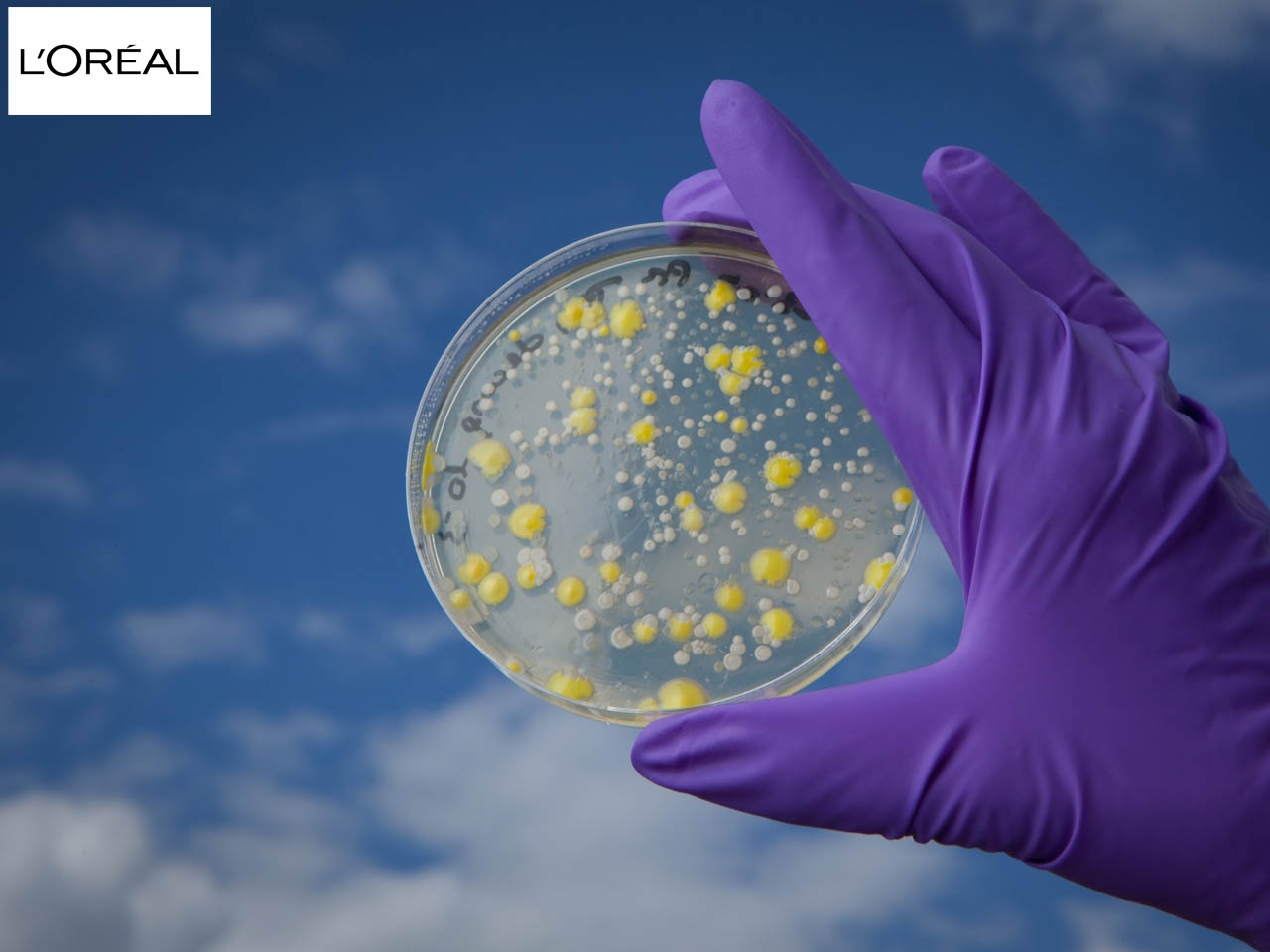 L’Oréal se penche sur le microbiome