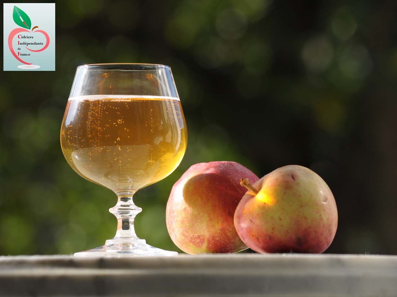 Le cidre pur jus, fleuron français, mérite l’appellation « traditionnel » contrôlée