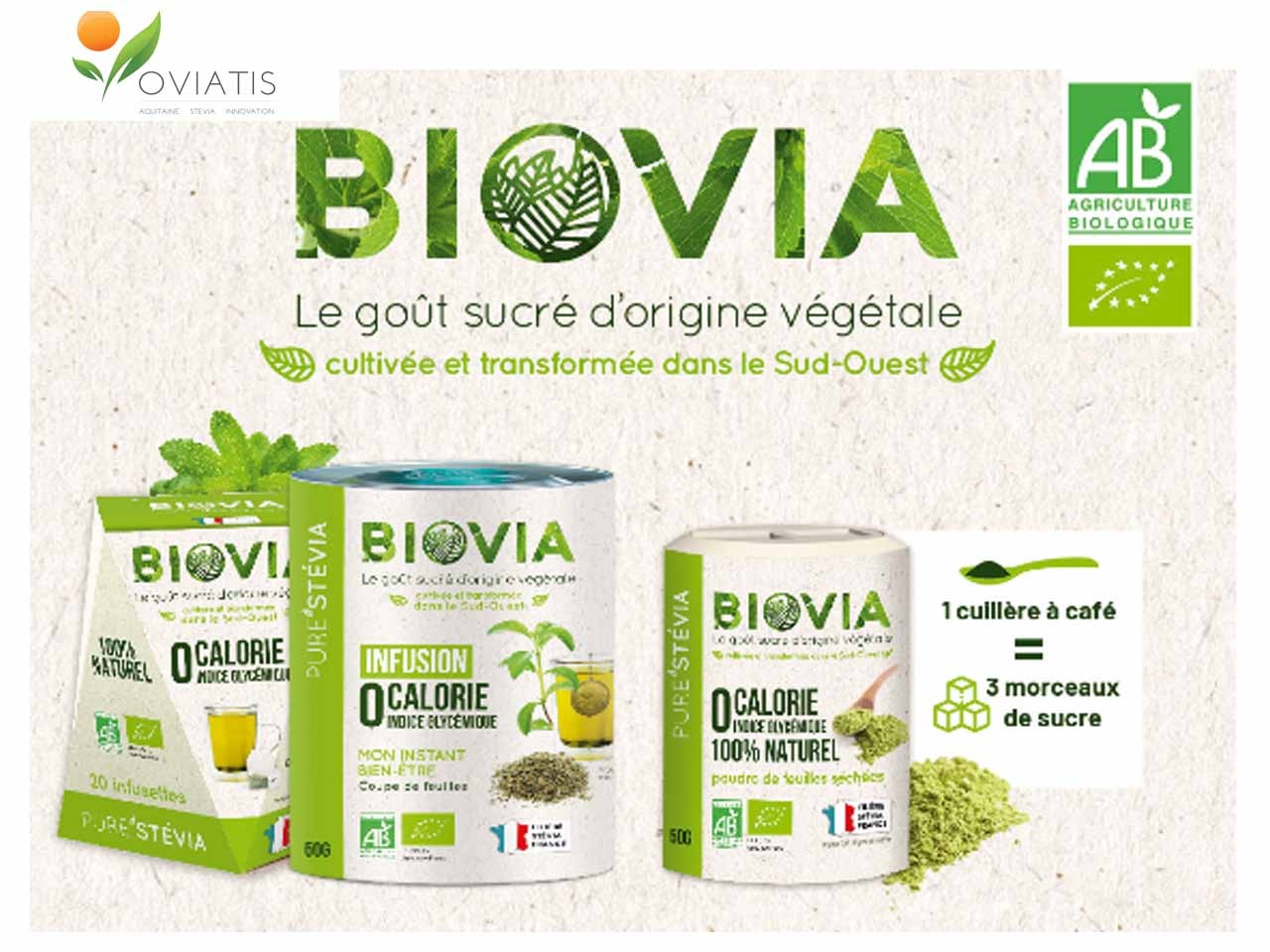 Oviatis présente la stévia bio cultivée et transformée en France