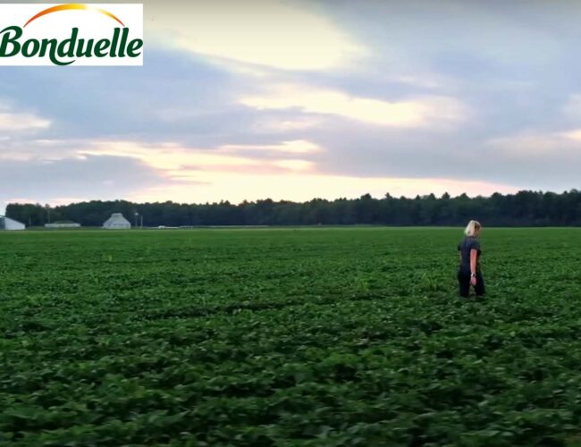 Le Groupe Bonduelle précise sa raison d’être et l’inscrit dans ses statuts