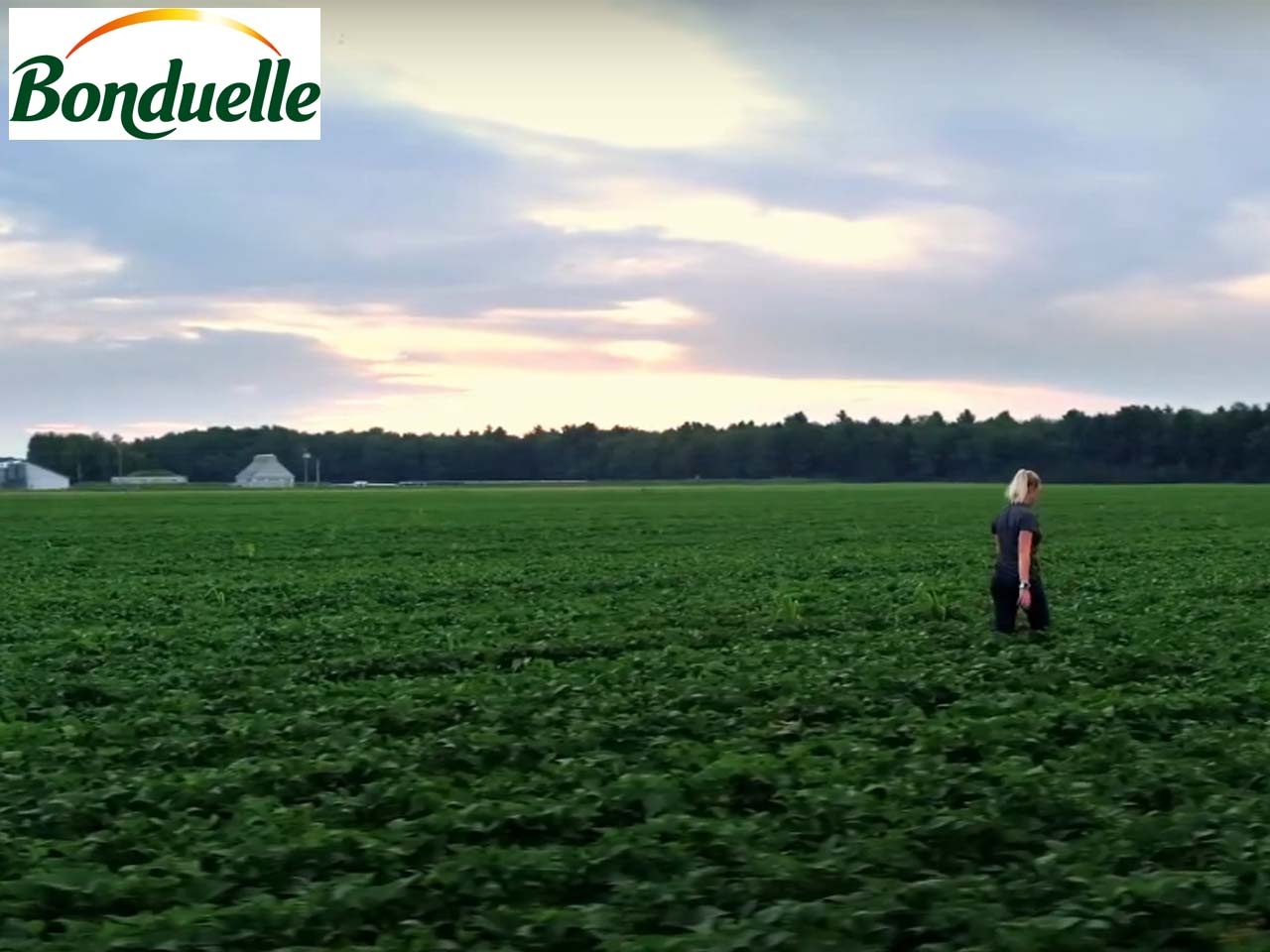 Le Groupe Bonduelle précise sa raison d’être et l’inscrit dans ses statuts