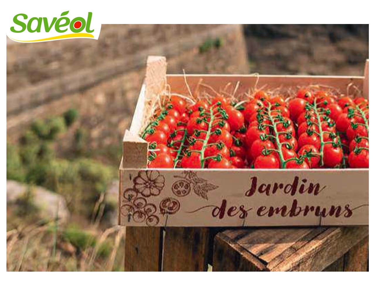 Savéol s’engage pour demain