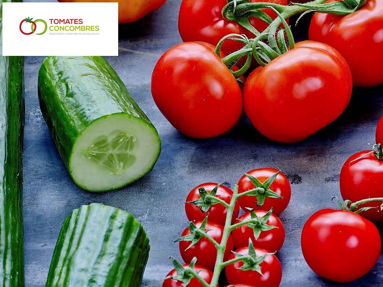 L’Association Nationale de Producteurs prône le lancement de saison pour les Tomates, Concombres, Poivrons et Aubergines de France !