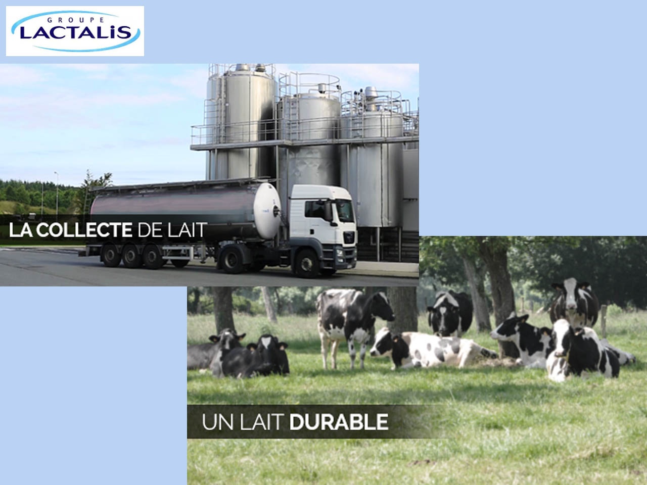 Lactalis dévoile son bilan laitier 2021 et ses perspectives 2022