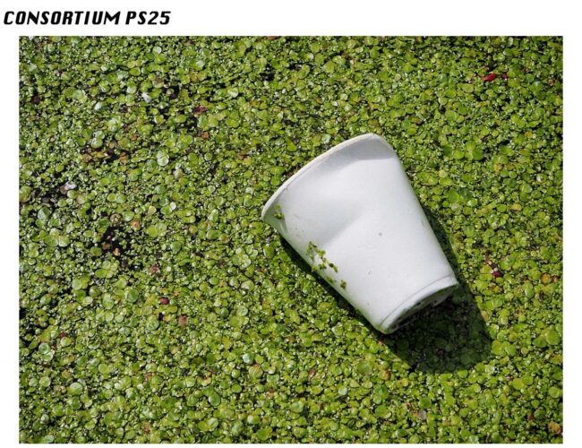 Consortium PS25 : Feu vert à la concrétisation de la filière française de recyclage des emballages ménagers en polystyrène (PS)