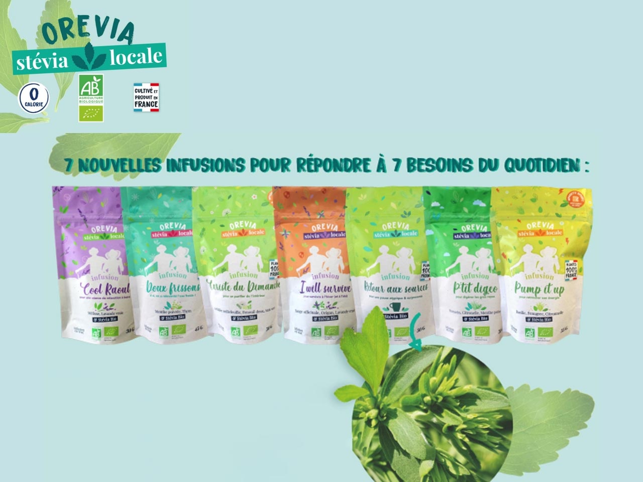 La marque Orevia présente ses nouvelles tisanes locales et bio