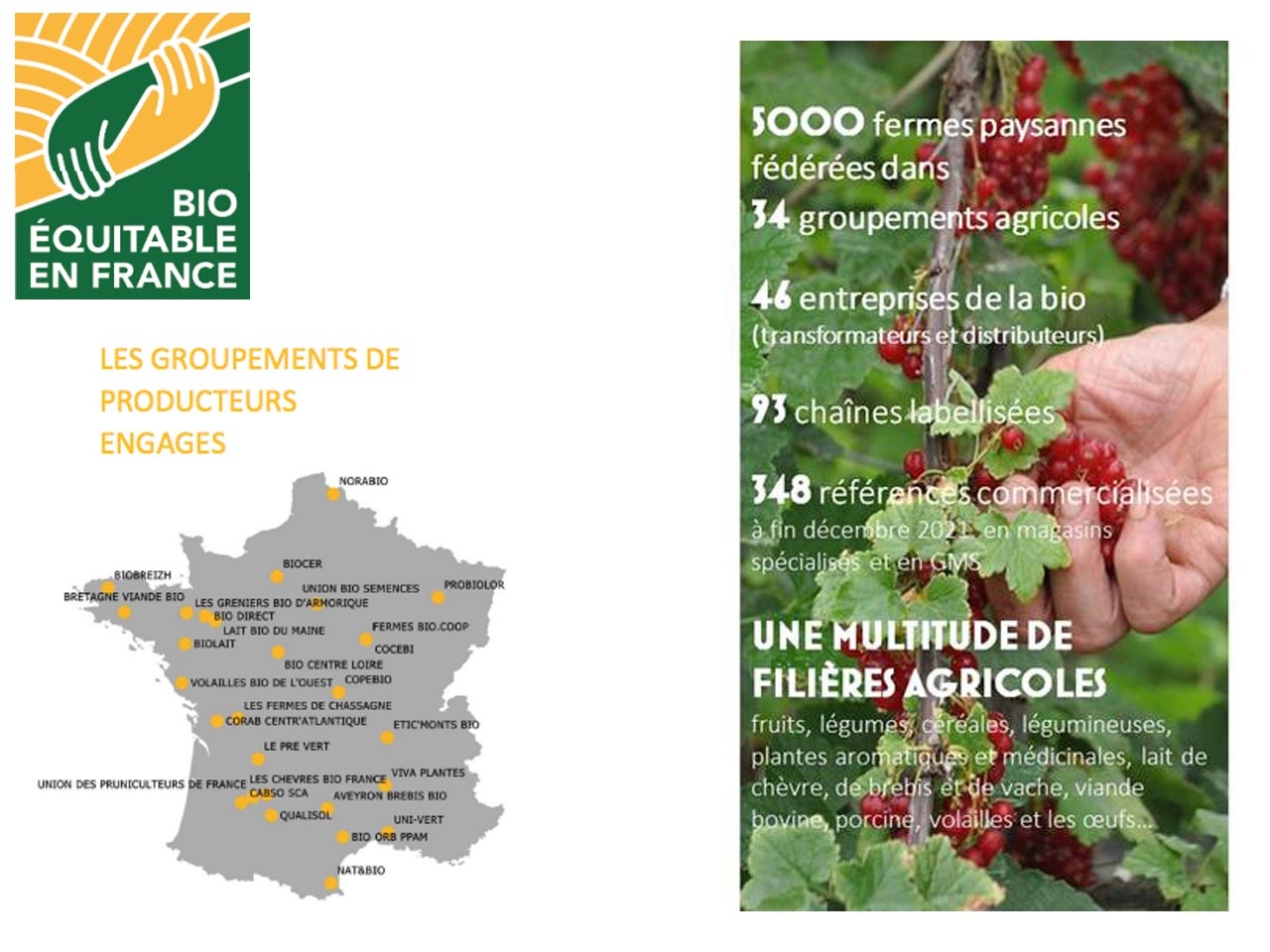Le label bio équitable en France : piloté en majorité par des producteurs et une multitude de filières agricoles soutenues