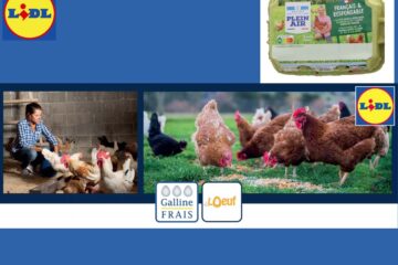 Lidl lance la 1ere gamme d’œufs engagée dans la réduction de soja importé