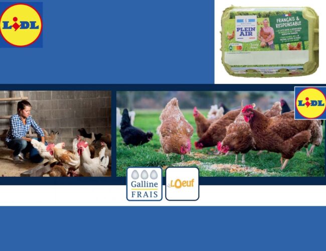 Lidl lance la 1ere gamme d’œufs engagée dans la réduction de soja importé