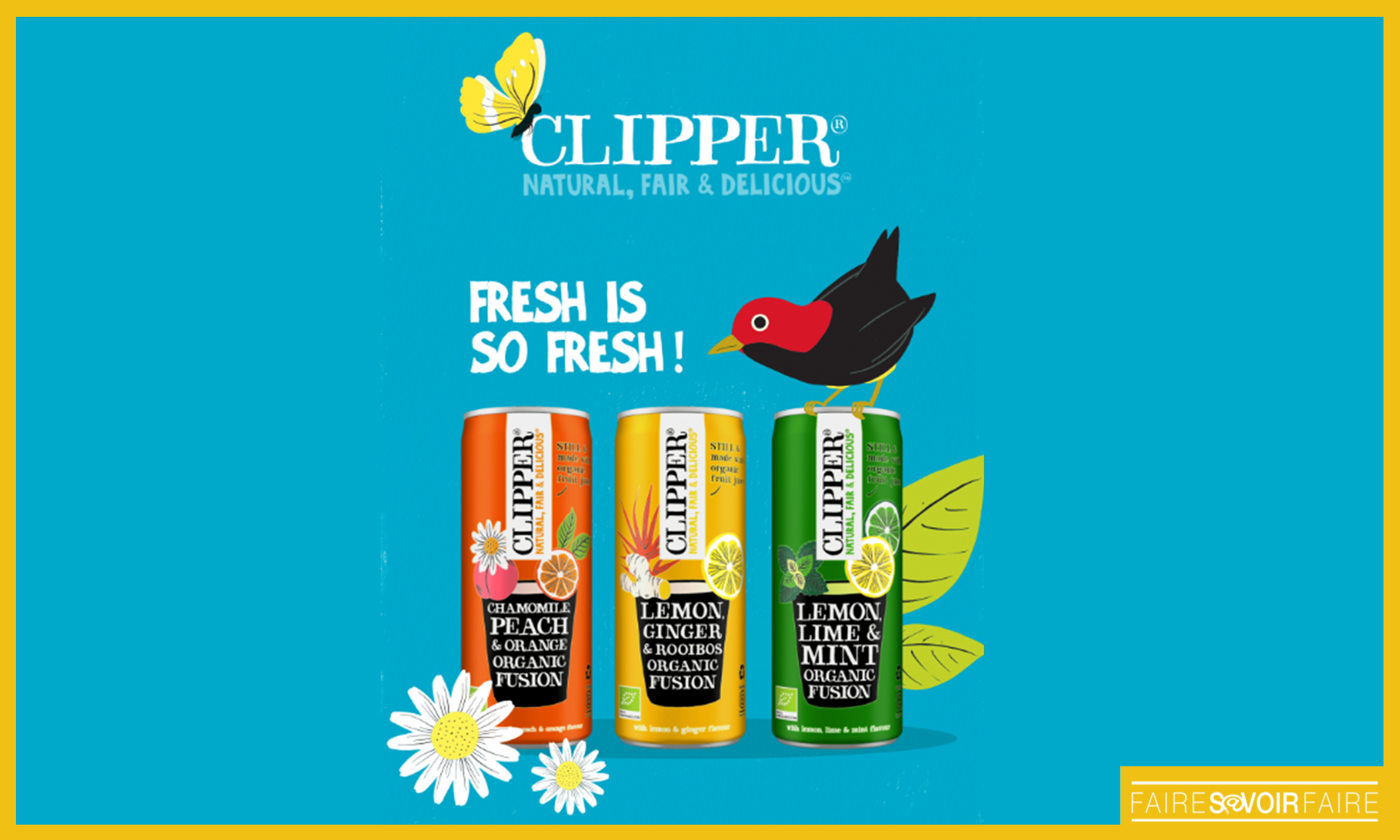 Clipper se lance dans les boissons plates et fruitées